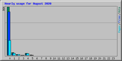 Hourly usage for August 2020